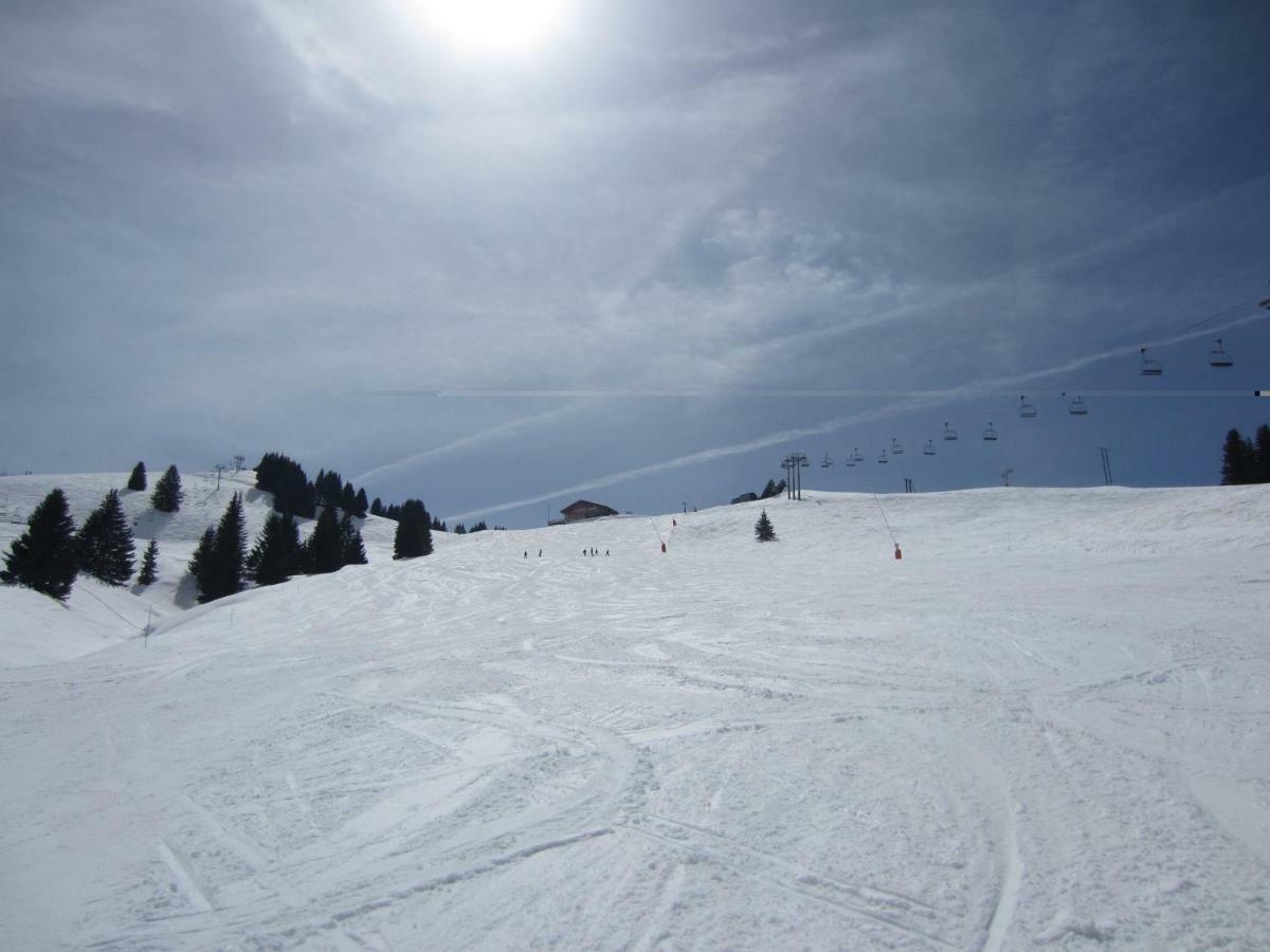 Ecrins Etoile C9 Διαμέρισμα Samoëns Εξωτερικό φωτογραφία