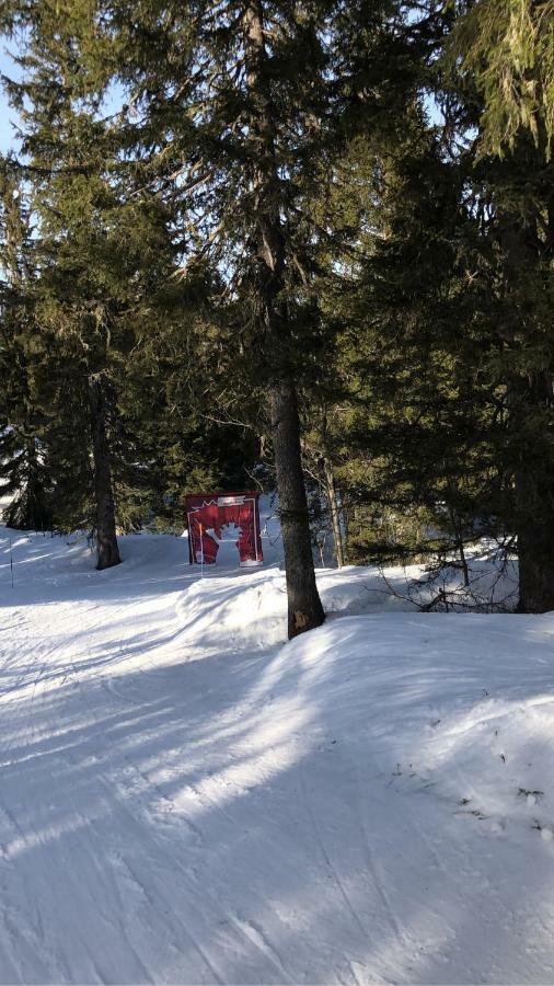 Ecrins Etoile C9 Διαμέρισμα Samoëns Εξωτερικό φωτογραφία