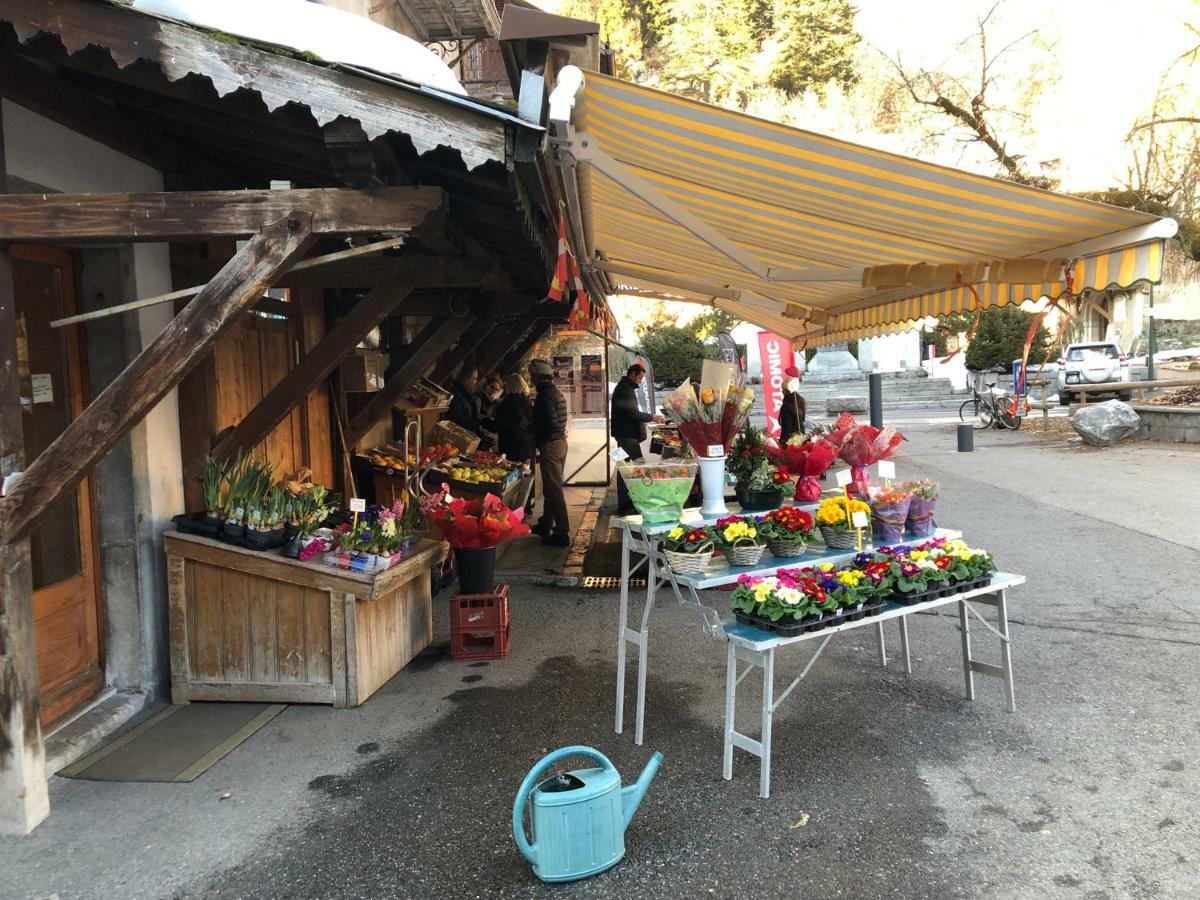 Ecrins Etoile C9 Διαμέρισμα Samoëns Εξωτερικό φωτογραφία